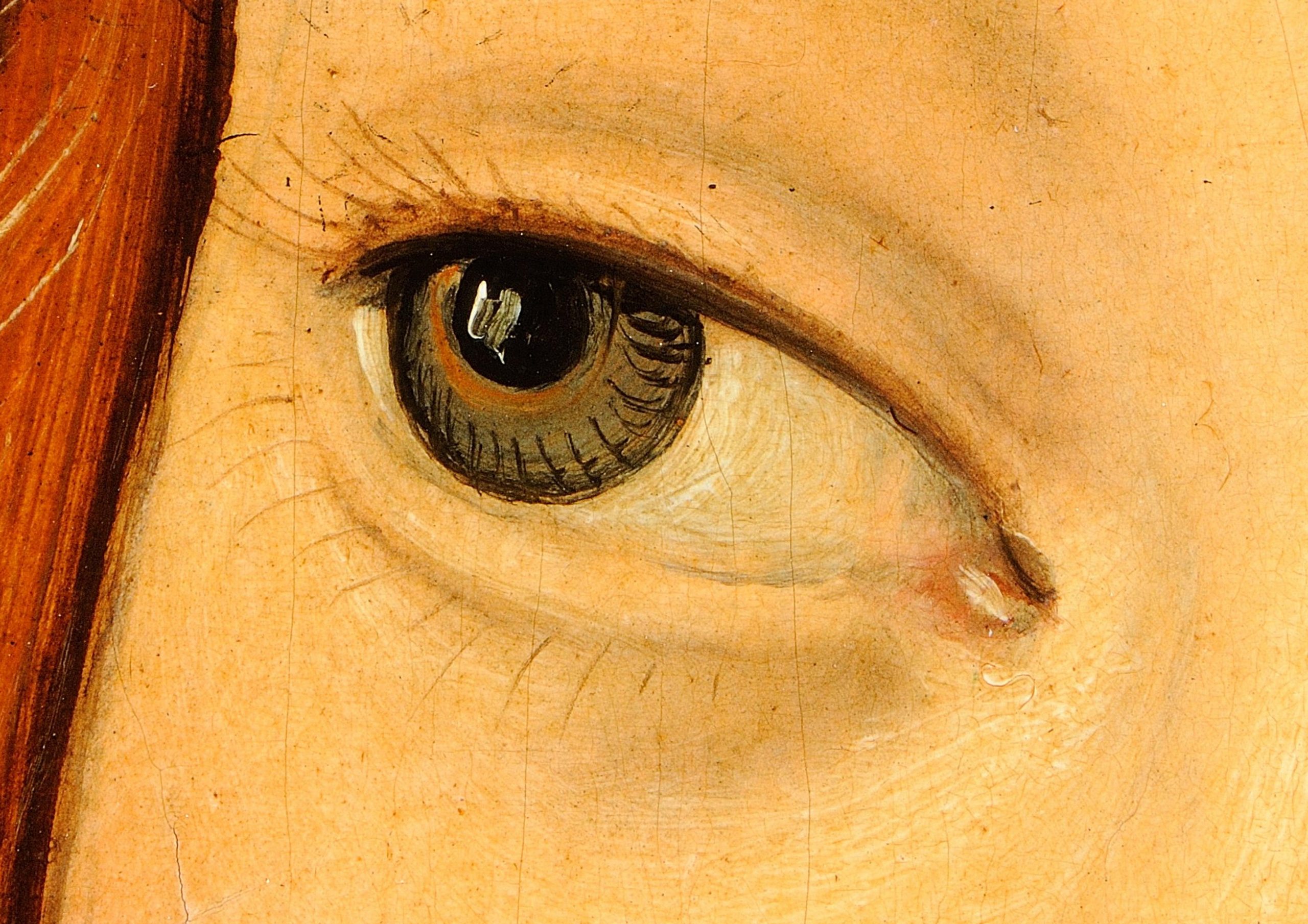 Detailausschnitt des rechten Auges von Eva, aus dem Gemälde "Eva" von Lucas Il Vecchio Cranach, gigapixel, haltadefinizione, gemälde, digital, kunstwerk