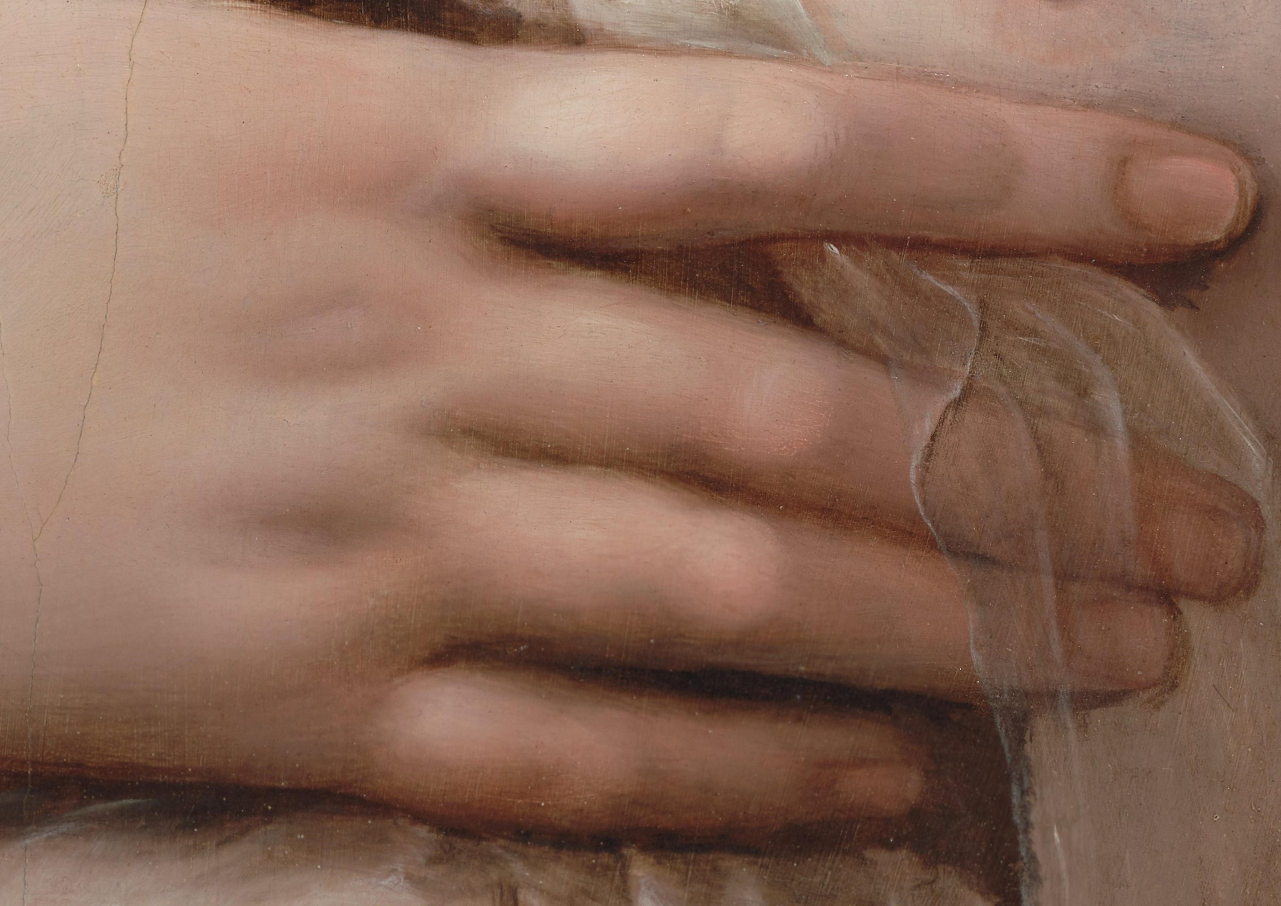 Ausschnitt Hand mit Seidenschal, Zoom des Bildnis "La Fornarina“ von Raphael, gigapixel, haltadefinizione, gemälde, digital, kunstwerk