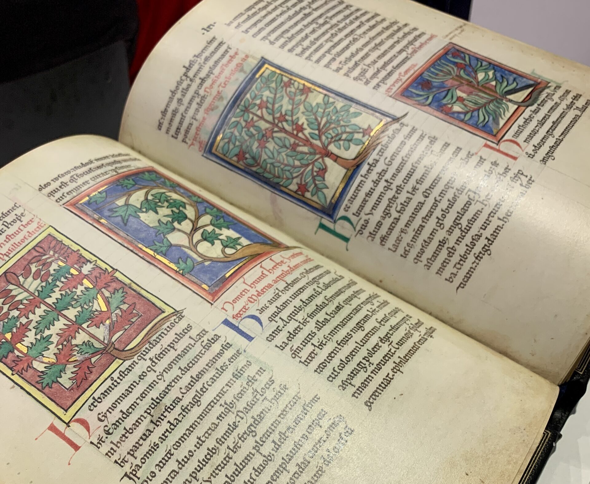 Aufgeschlagene Fakisimile-Edition "Von Pflanzen und Tieren - ein mittelalterliches Hausbuch". Die Seite zeigt vier kleinere Miniaturen, in denen Pflanzen abgebildet sind. Darunter sind diese Heilkräuter auf Latein erläutert.