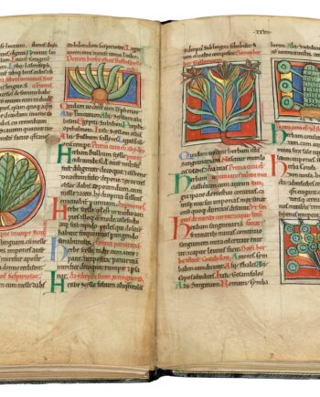 Opened facsimile edition About Plants and Animals. It shows a double page with five smaller miniatures depicting stylishly painted plants. It shows a section of folio 25v.