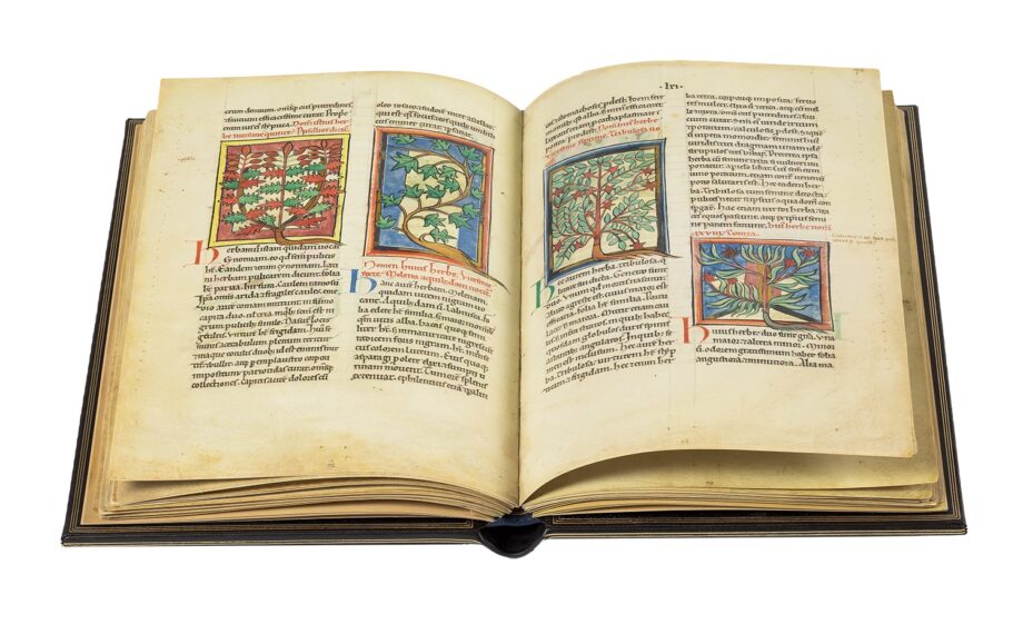 Aufgeschlagene Faksimile-Ausgabe Von Pflanzen und Tieren. Es zeigt eine Doppelseite mit fünf kleineren Miniaturen, die stillvollgemalte Pflanzen zeigen. Die Titelseite zeigt einen Ausschnitt von Folio 25v.